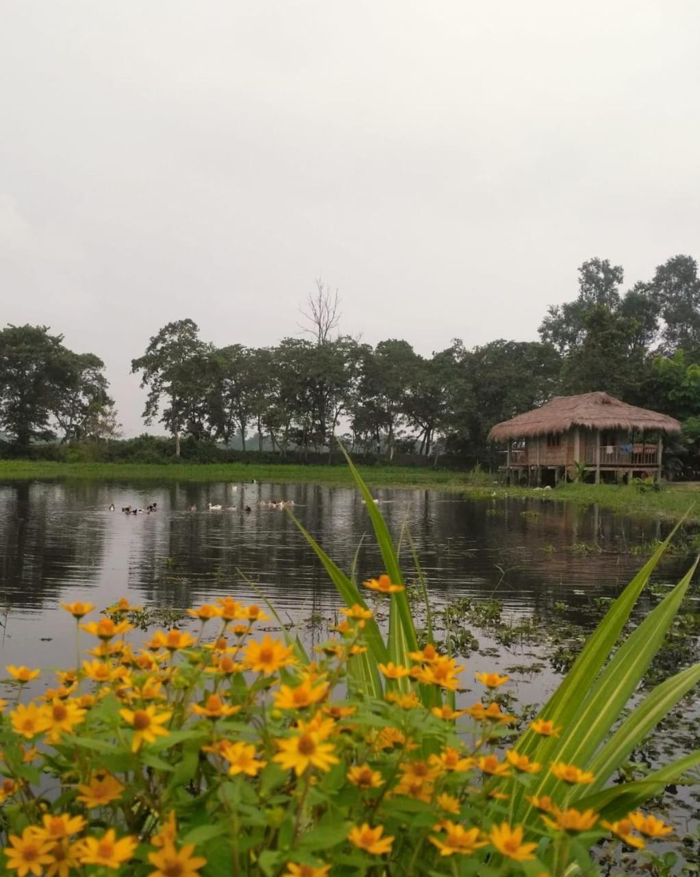 Yagdrasill Bamboo Cottage Bamungaon Exterior foto
